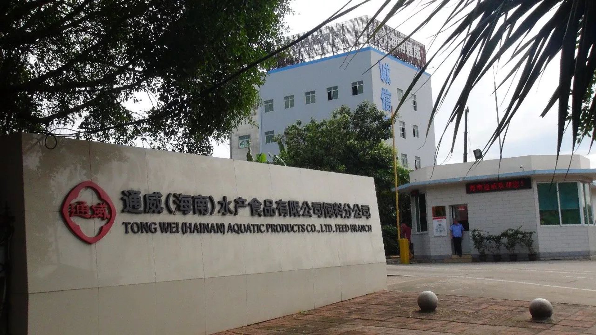 新锐海产品养殖业：莱州明波水产的创新之路