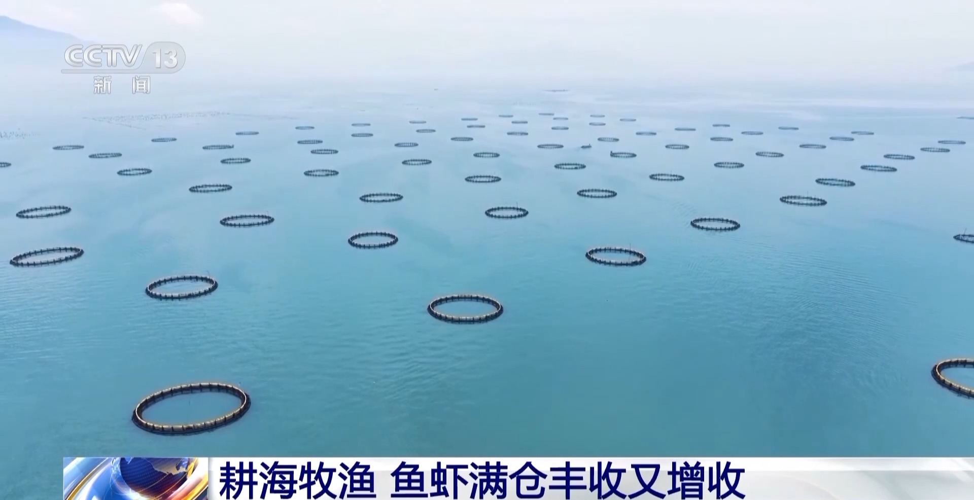莱州水产养殖业如何在新时代中绽放光彩
